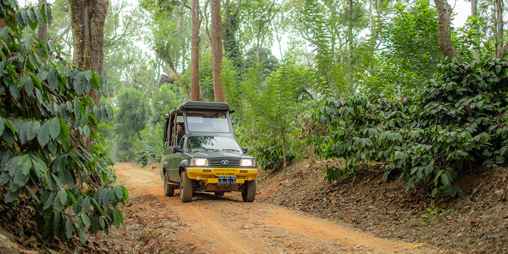 coorg coffee tour